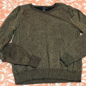Gold Sparkly Sweater 1X